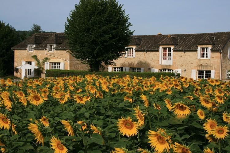 Domaine Des Hirondelles Villa Saint-Vincent-de-Cosse Cameră foto